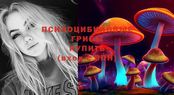 ПСИЛОЦИБИНОВЫЕ ГРИБЫ Алексеевка