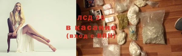 крисы Алзамай