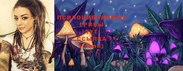 крисы Алзамай
