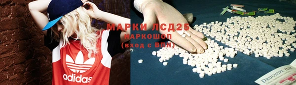 крисы Алзамай
